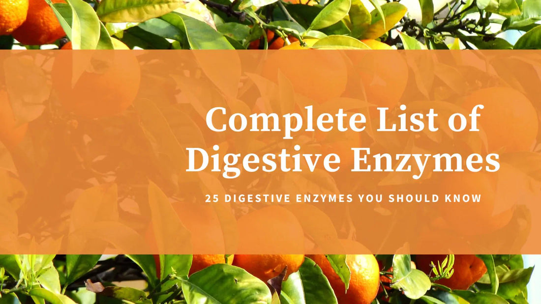 Comprehensive List of Digestive Enzymes