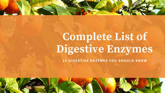 Comprehensive List of Digestive Enzymes