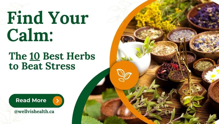 The 10 Best Herbs help to find Your Calm