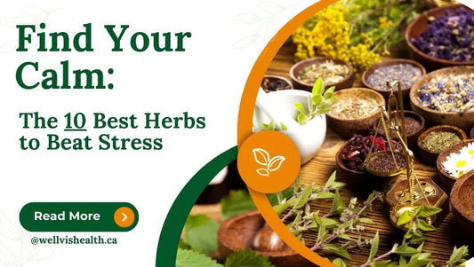The 10 Best Herbs help to find Your Calm
