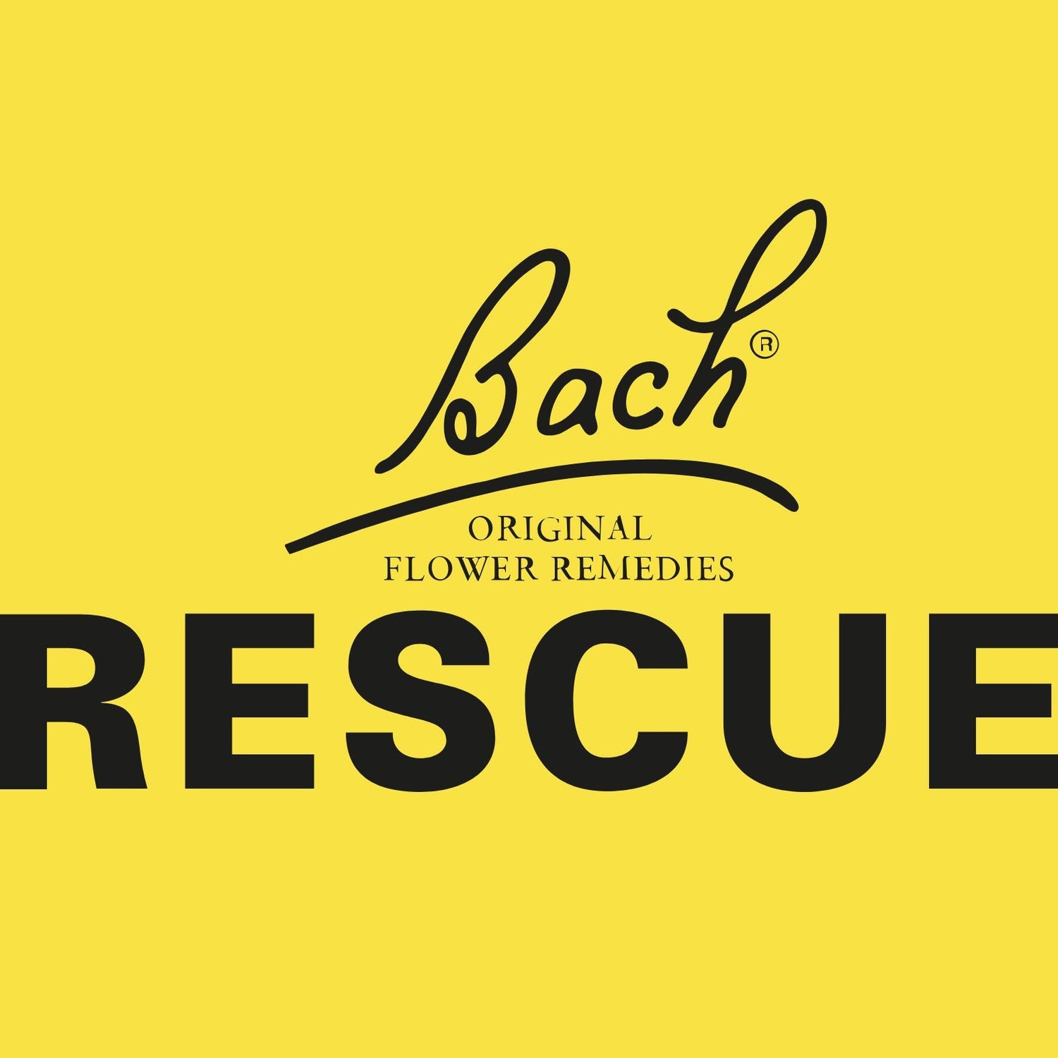 Bach